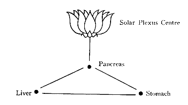 Solar Plexus Center - Pancreas / Liver / Stomach